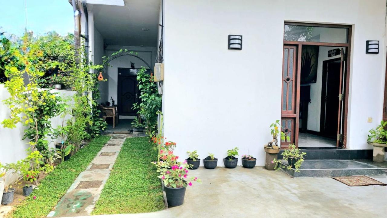 Aloe Vera Villa Negombo Buitenkant foto