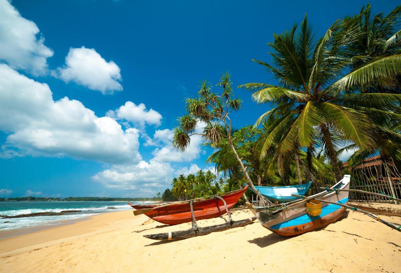 Aloe Vera Villa Negombo Buitenkant foto