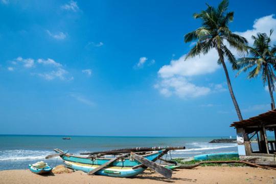 Aloe Vera Villa Negombo Buitenkant foto