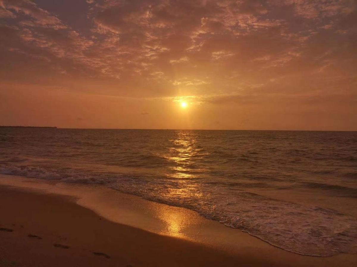 Aloe Vera Villa Negombo Buitenkant foto