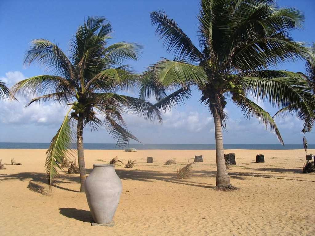 Aloe Vera Villa Negombo Buitenkant foto