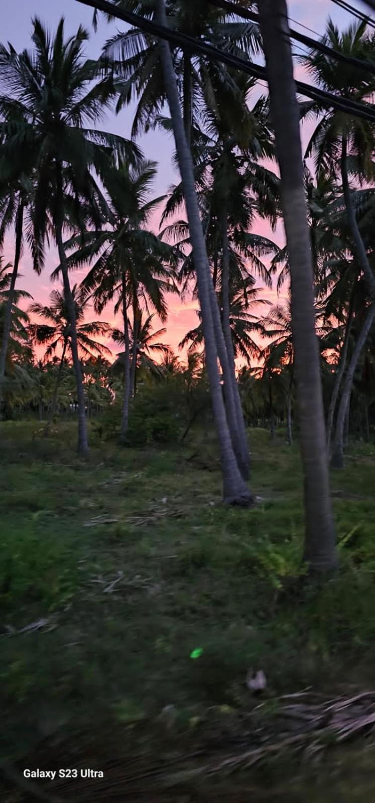 Aloe Vera Villa Negombo Buitenkant foto